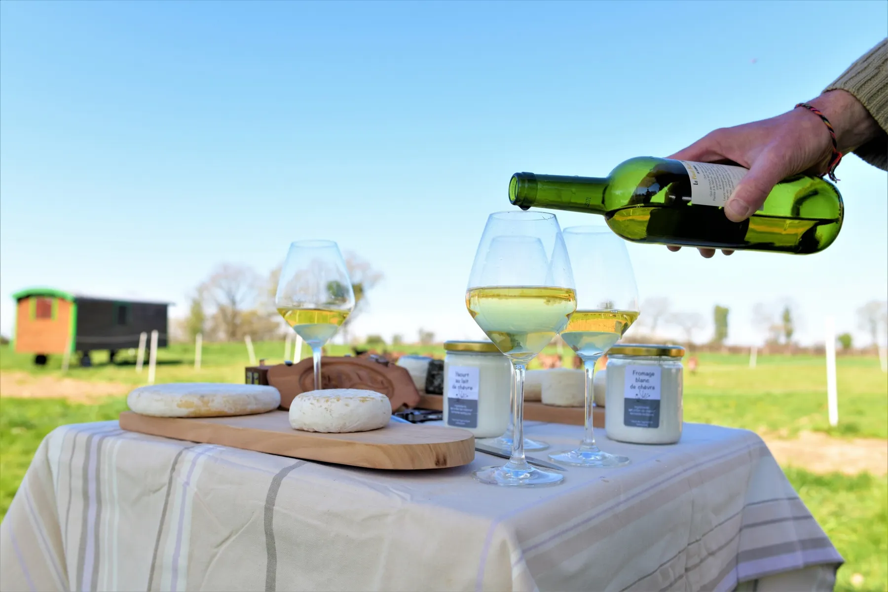 Dégustez de délicieux accords fromages et vins avec Catherine et Benoît - Image n°5 - Wecandoo