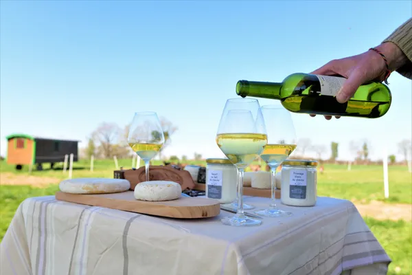 Dégustez de délicieux accords fromages et vins avec Catherine et Benoît - Afbeelding nr. 5 - Wecandoo