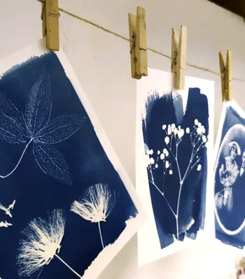 Initiez-vous à l'impression cyanotype