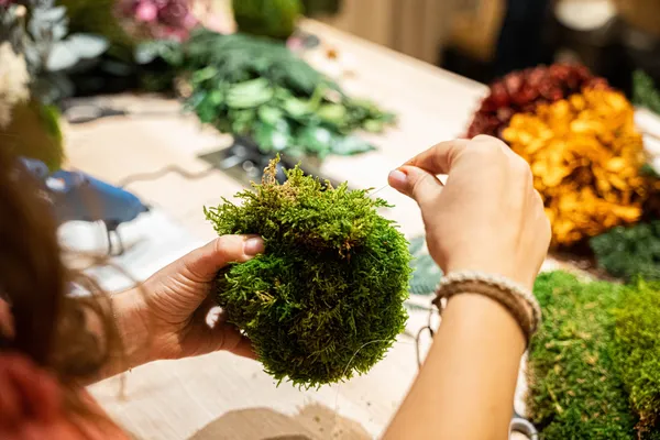 Créez votre kokedama stabilisé avec Nelly - Image n°1 - Wecandoo