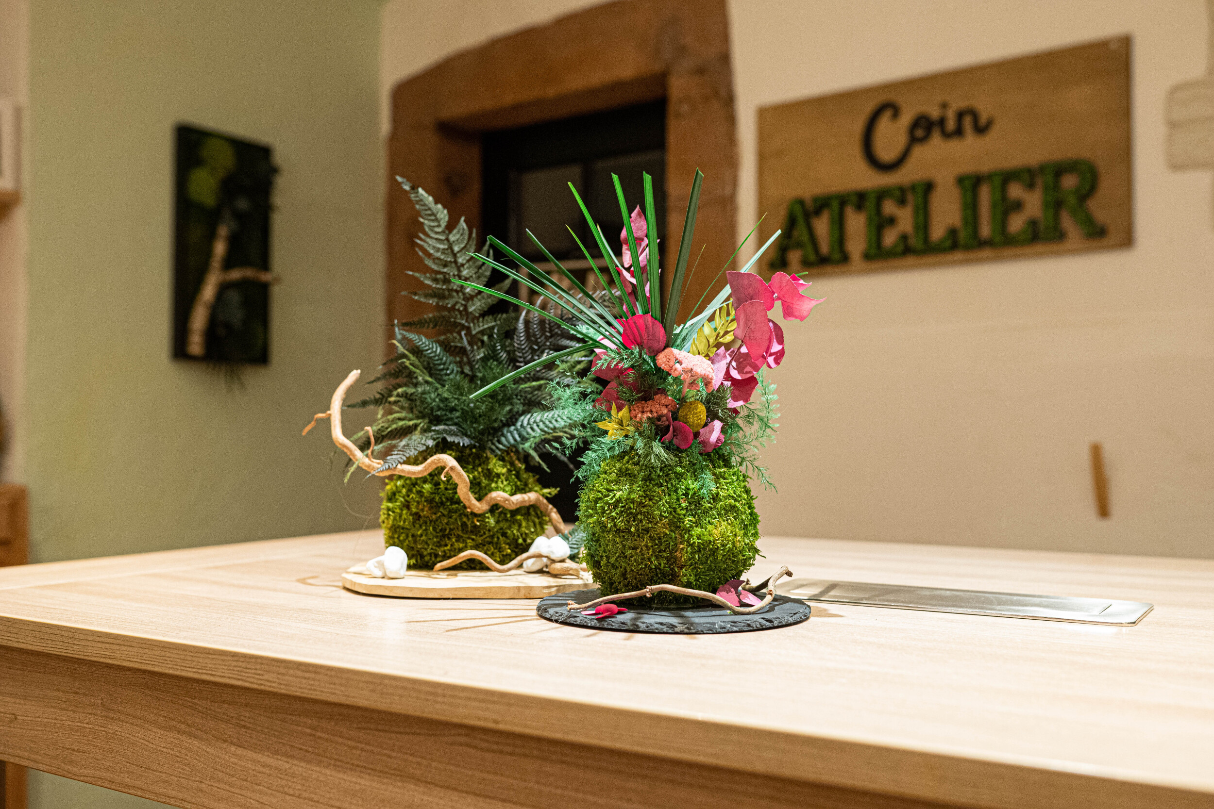 Créez votre kokedama stabilisé