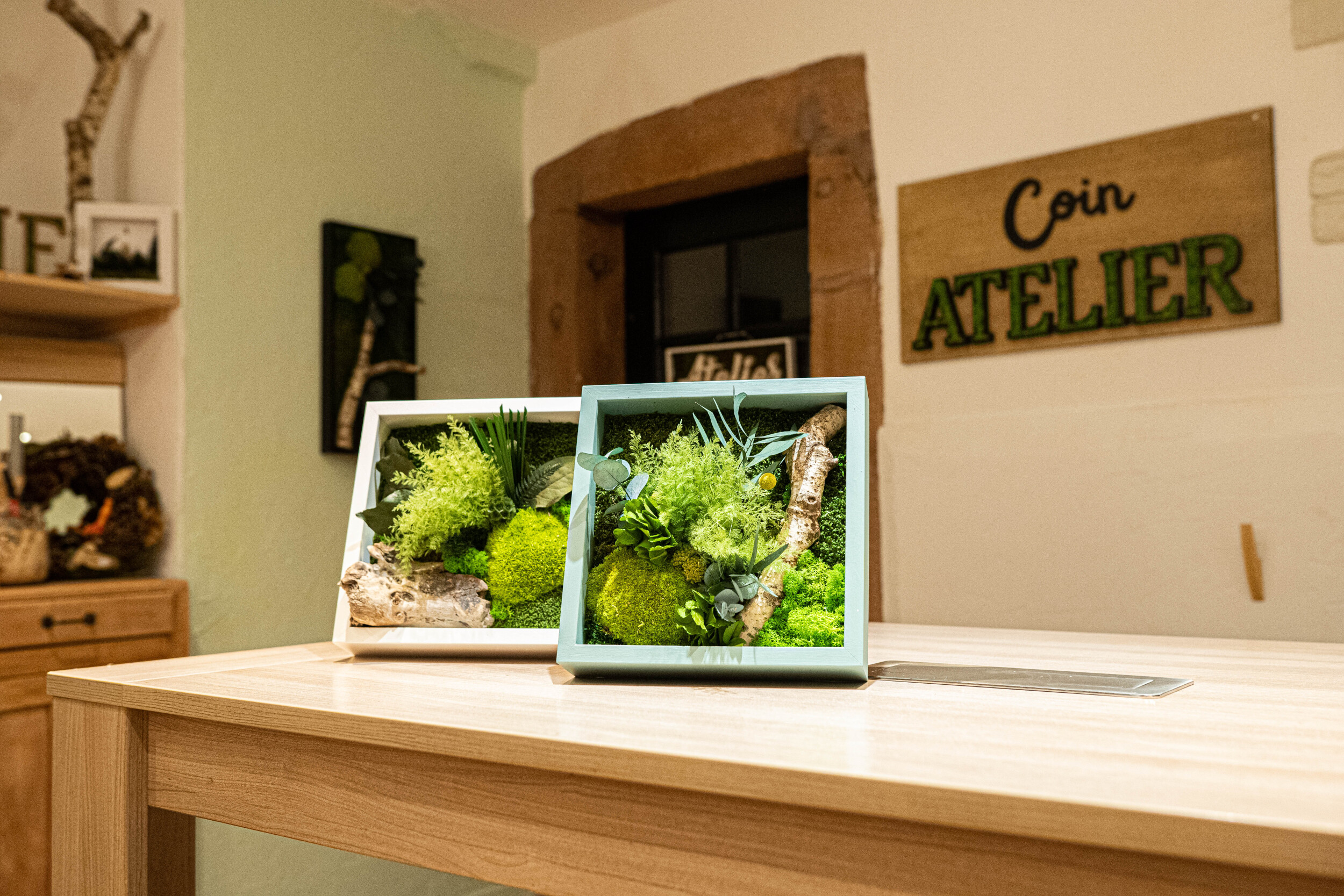 Réalisez votre tableau végétal stabilisé