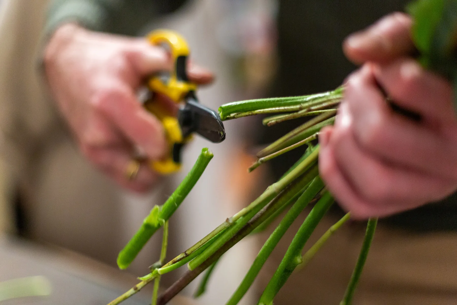 Créez votre bouquet de fleurs fraîches locales et de saison avec Romain et son équipe - Image n°1 - Wecandoo