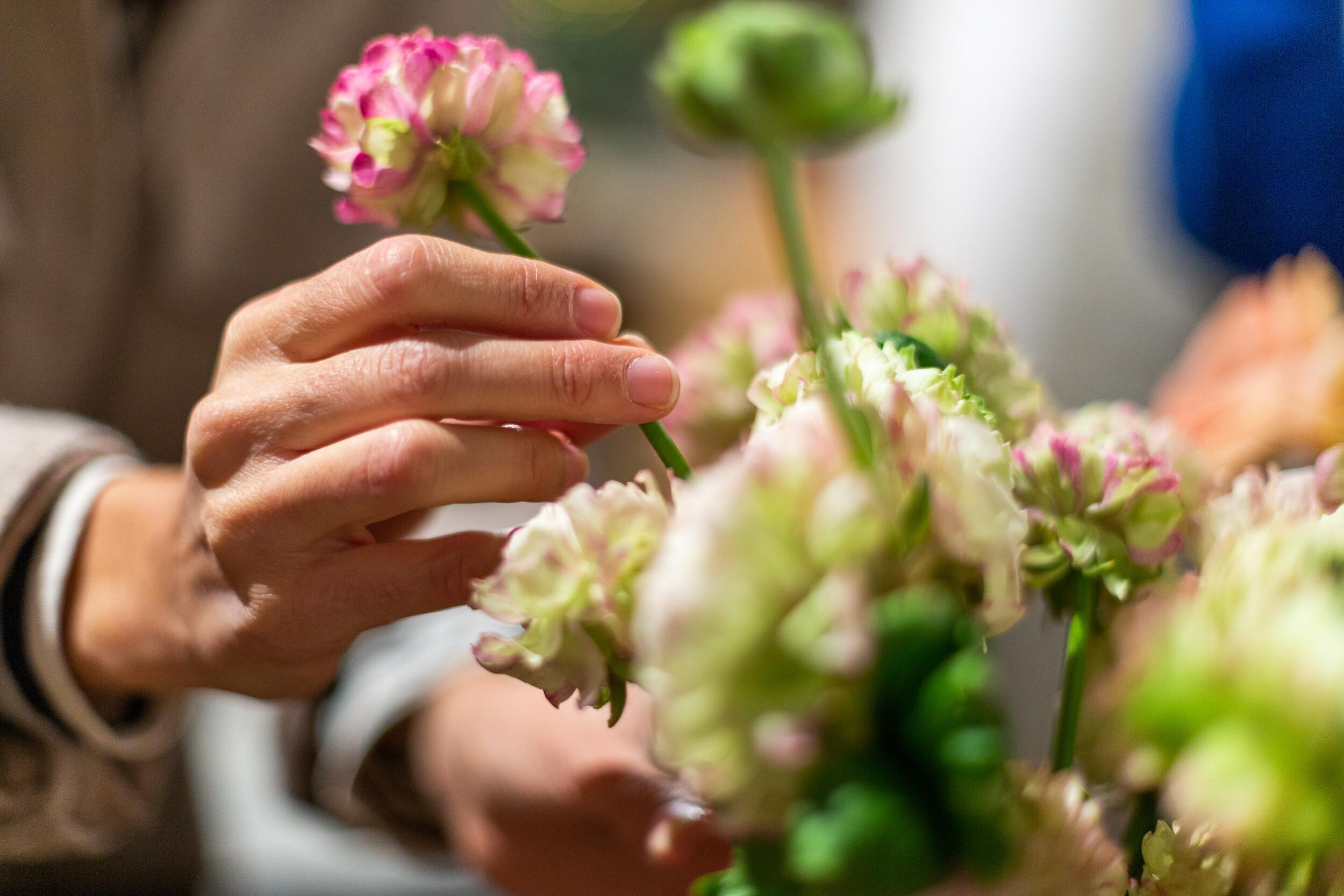 Wecandoo - Créez votre bouquet de fleurs fraîches locales et de saison avec Romain et son équipe - Afbeelding nr. 3