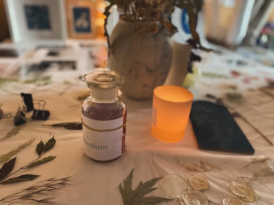 Enchantez votre équipe et réalisez une œuvre collective en cyanotype avec Caroline - Image n°1 - Wecandoo