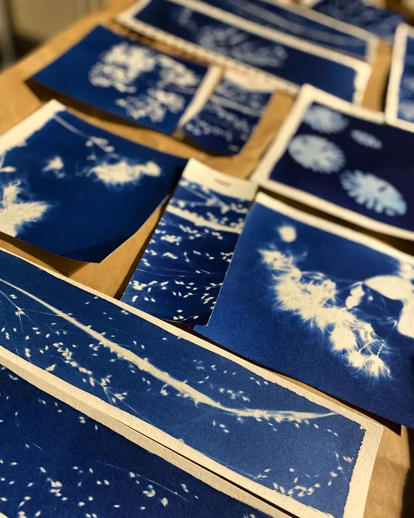 Wecandoo - Réalisez une œuvre en cyanotype en groupe