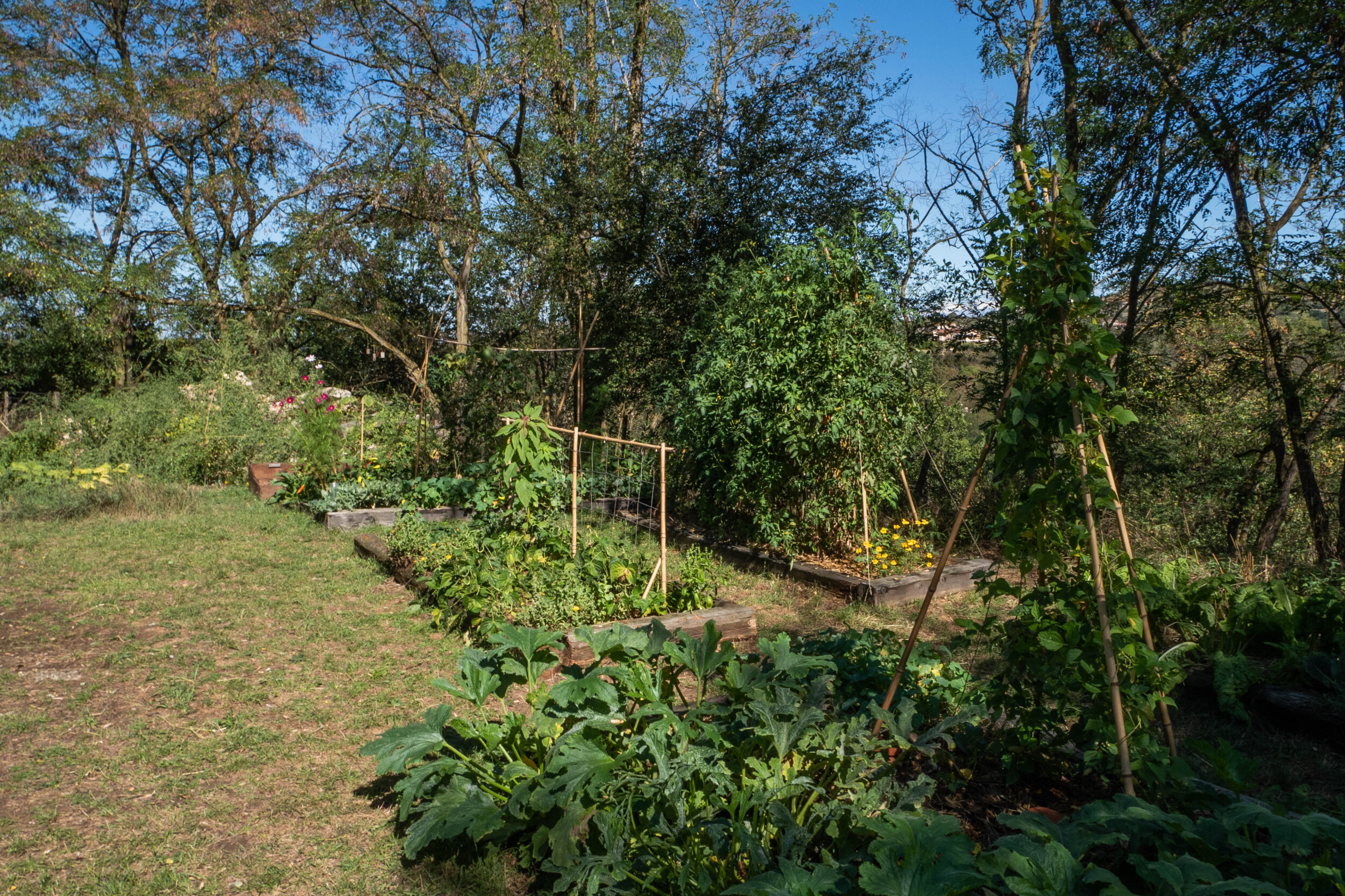 Wecandoo - Enchantez votre équipe et créez votre mini-potager aromatique avec Philippe - Image n°10