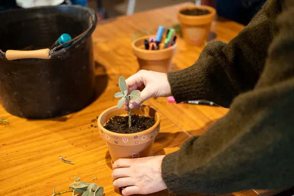 Enchantez votre équipe et créez votre mini-potager aromatique avec Philippe - Afbeelding nr. 2 - Wecandoo