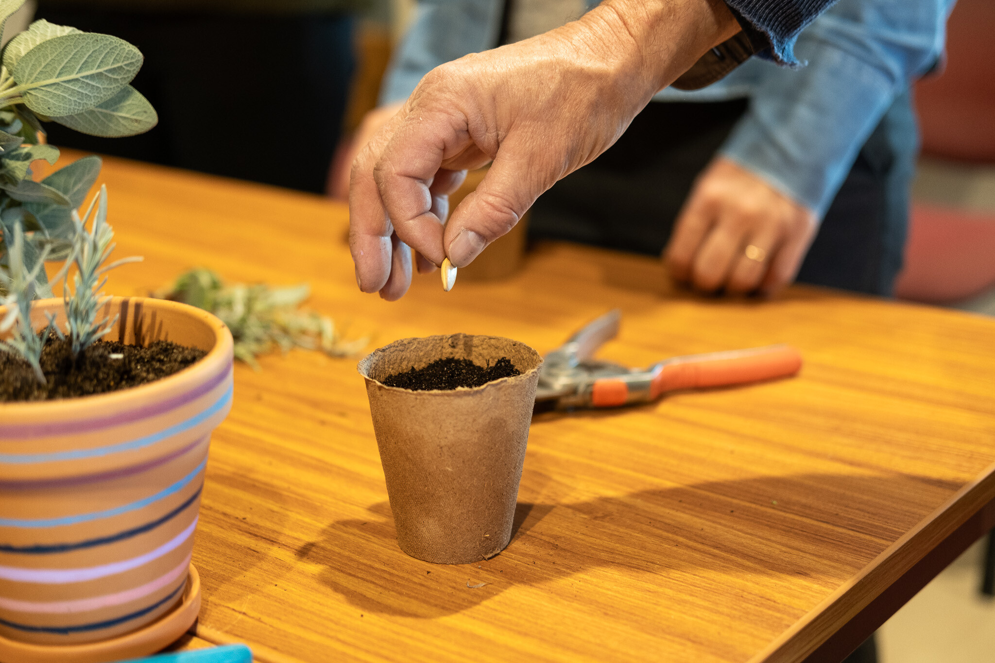 Wecandoo - Enchantez votre équipe et créez votre mini-potager aromatique avec Philippe - Image n°6