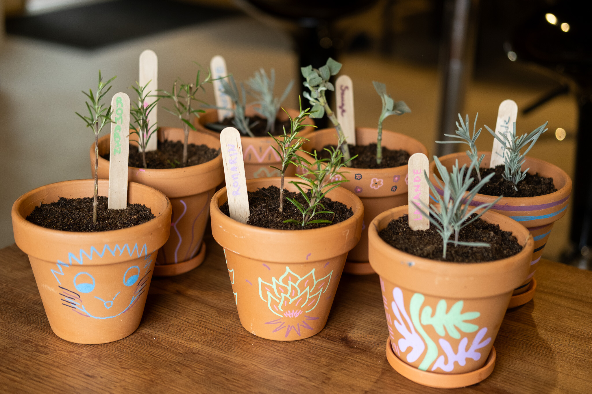 Créez votre mini-potager aromatique en groupe