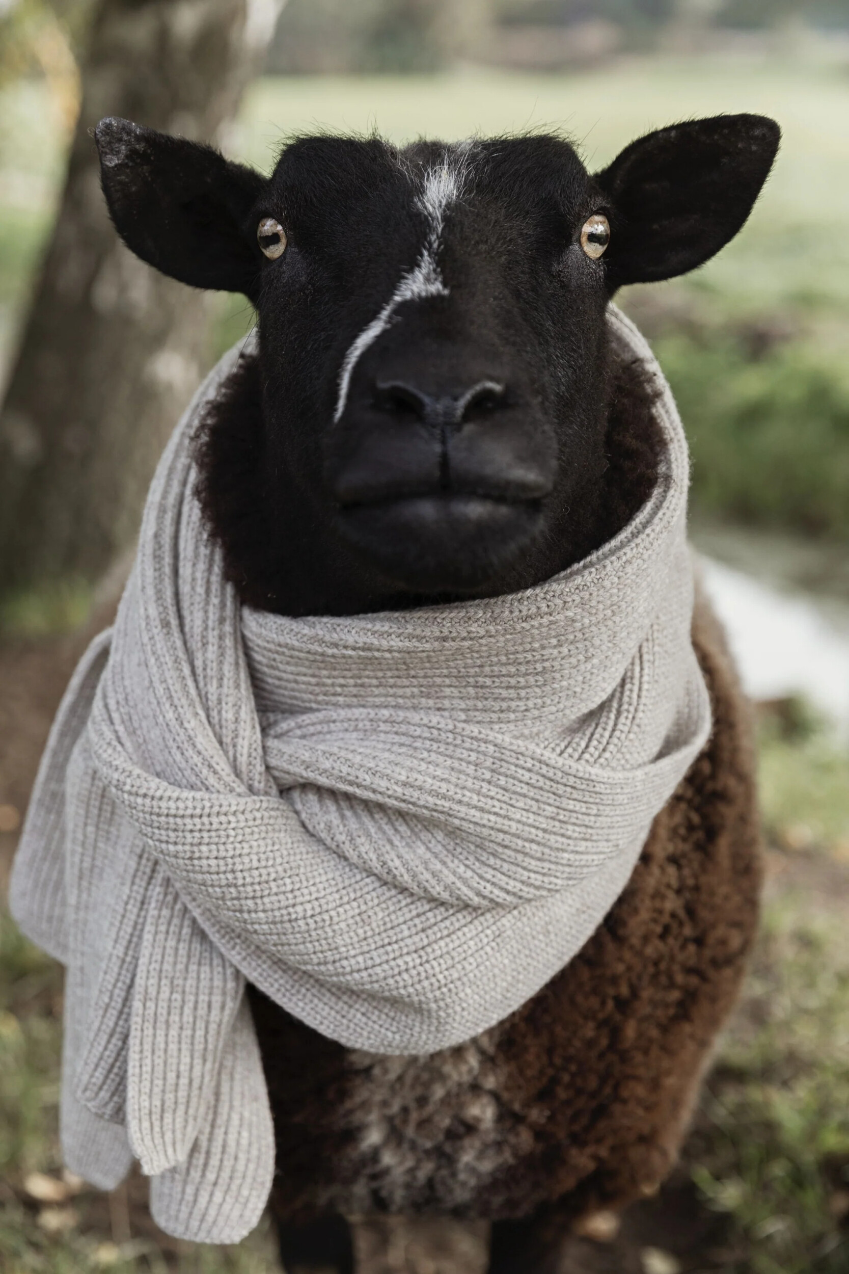 Wecandoo - Discover Dutch wool production and knit your own scarf or shawl at The Knitwit Stable - Image n°10