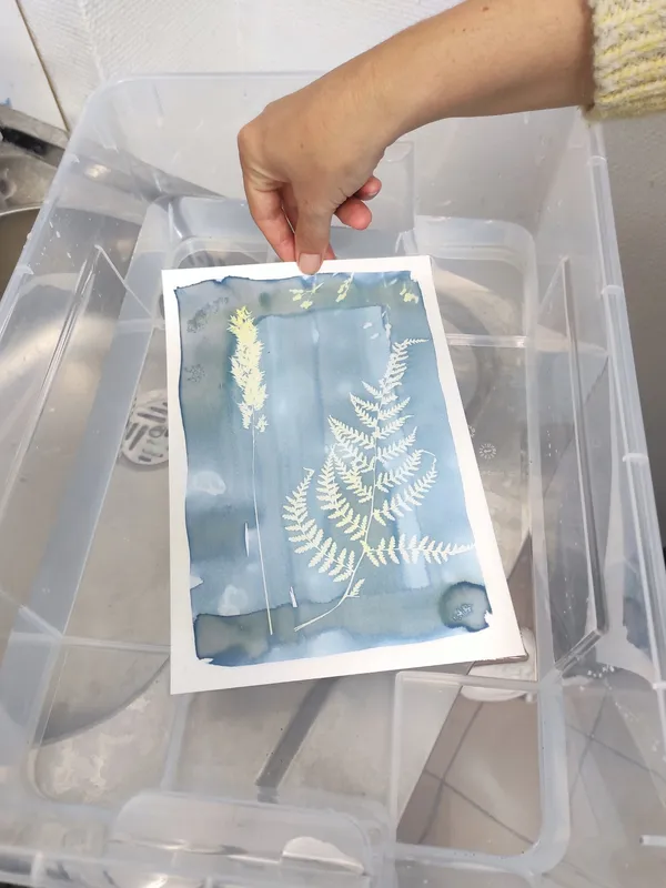 Réalisez vos impressions végétales en cyanotype avec Caroline - Image n°2 - Wecandoo