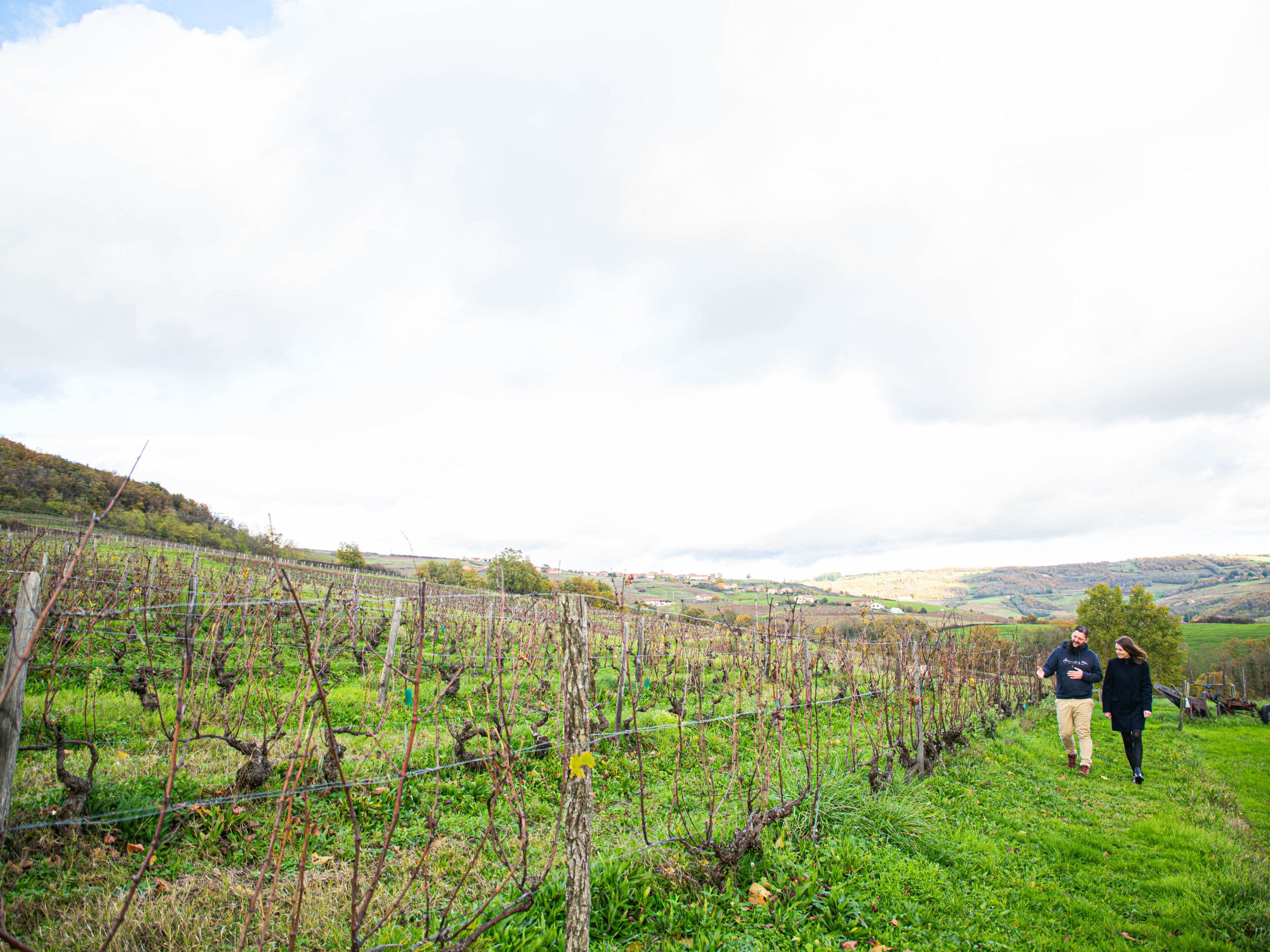 Wecandoo - Dégustez des accords mets et vins au cœur du Beaujolais avec Raphaëlle - Afbeelding nr. 10