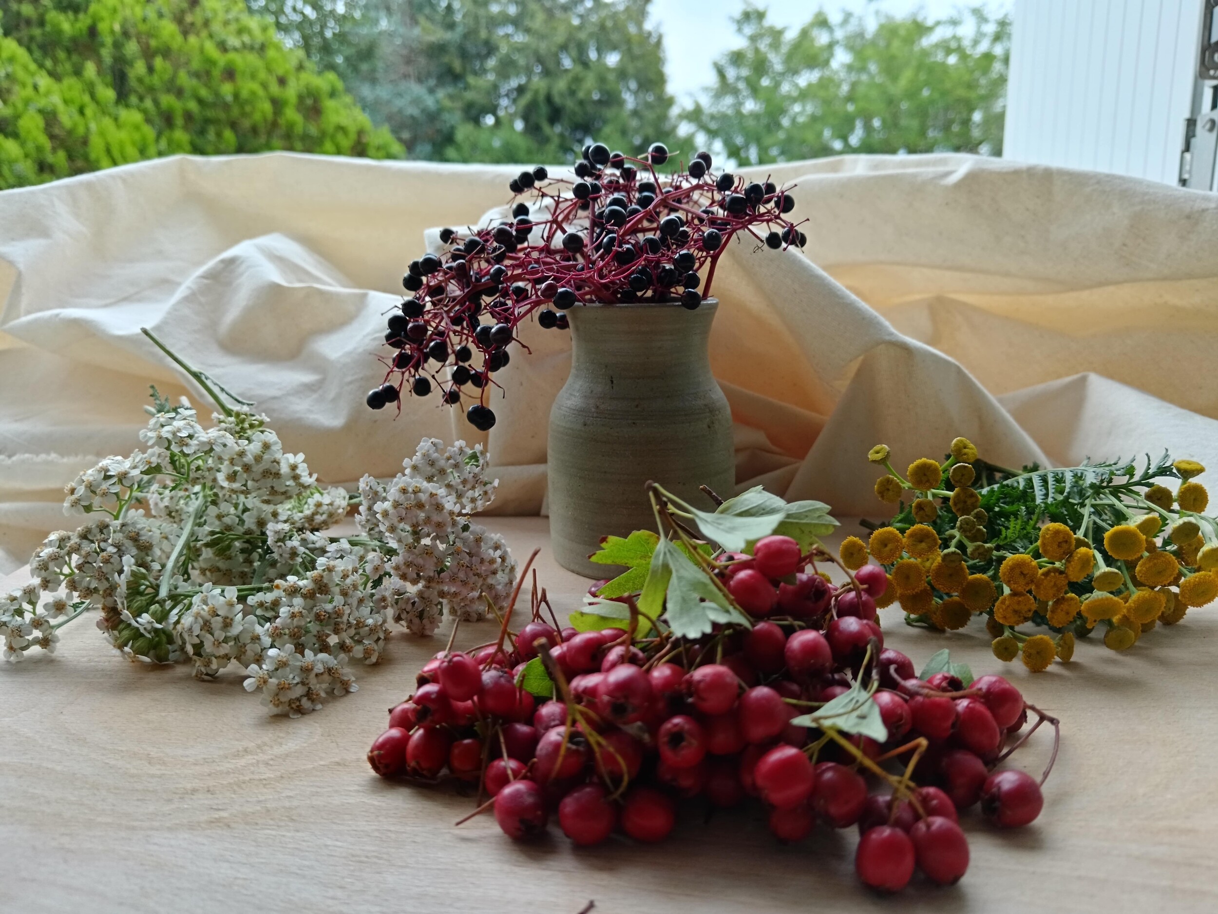 Wecandoo - Réalisez vos bouchées apéritives et cocktails à base de plantes sauvages avec Milena et Anna - Image n°2