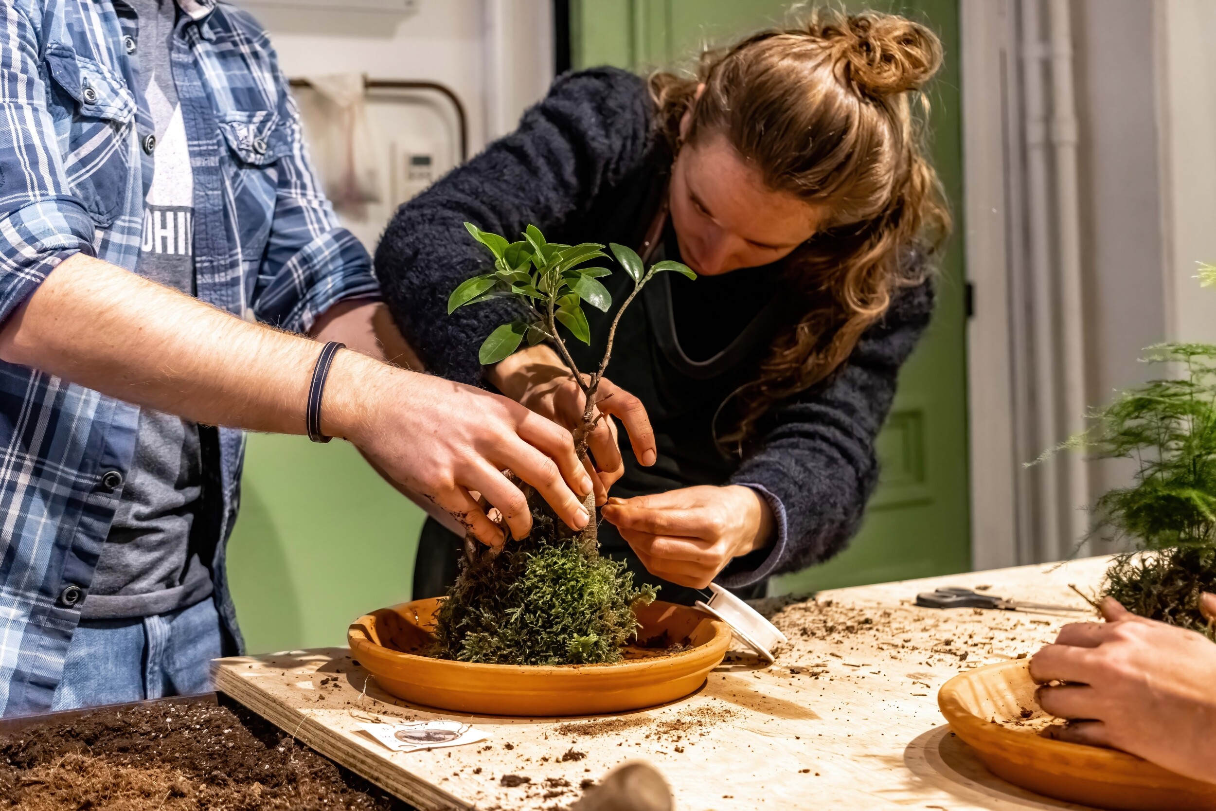 Wecandoo - Émerveillez votre équipe et composez chacun un kokedama avec Audrey - Image n°1