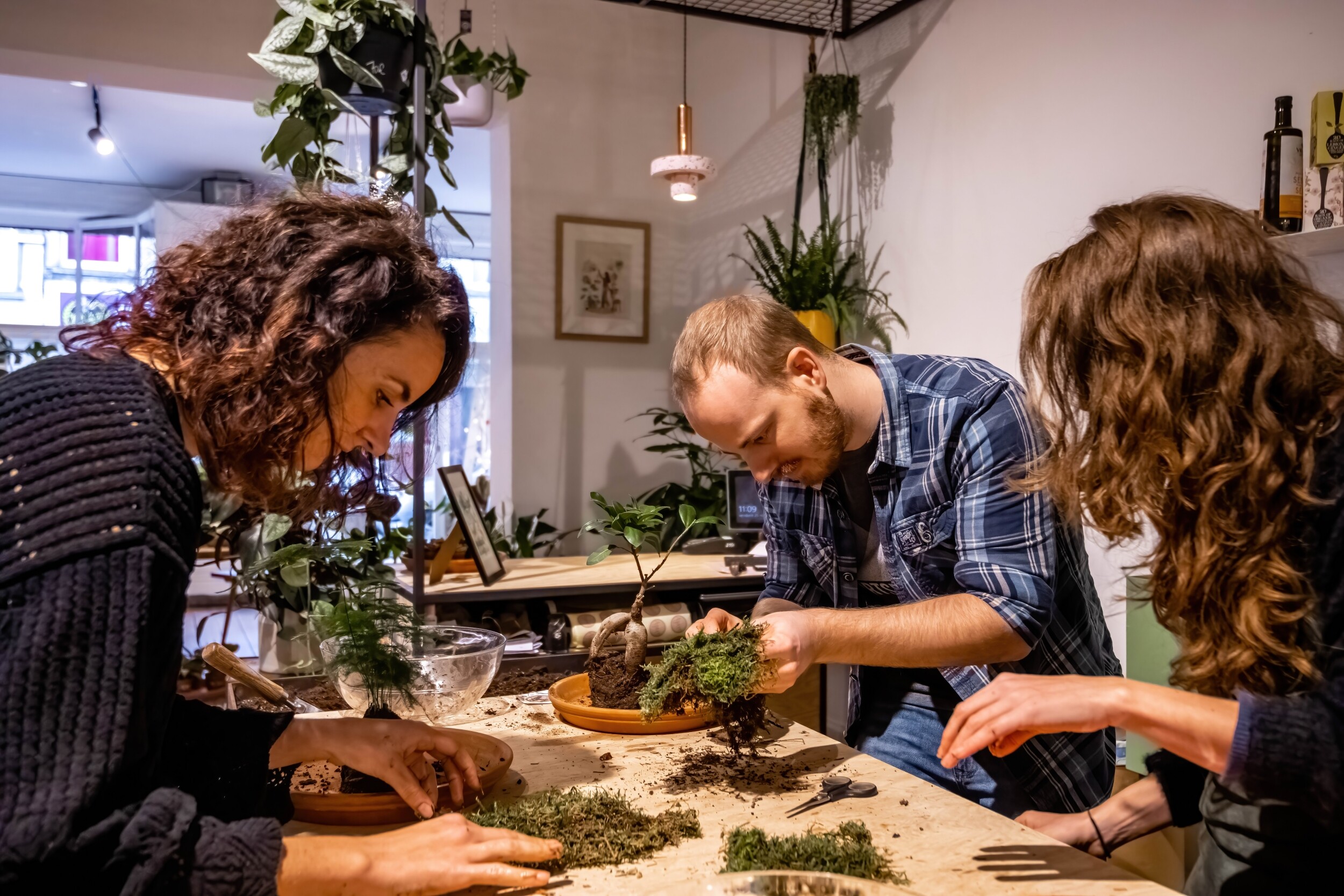 Wecandoo - Émerveillez votre équipe et composez chacun un kokedama avec Audrey - Image n°2