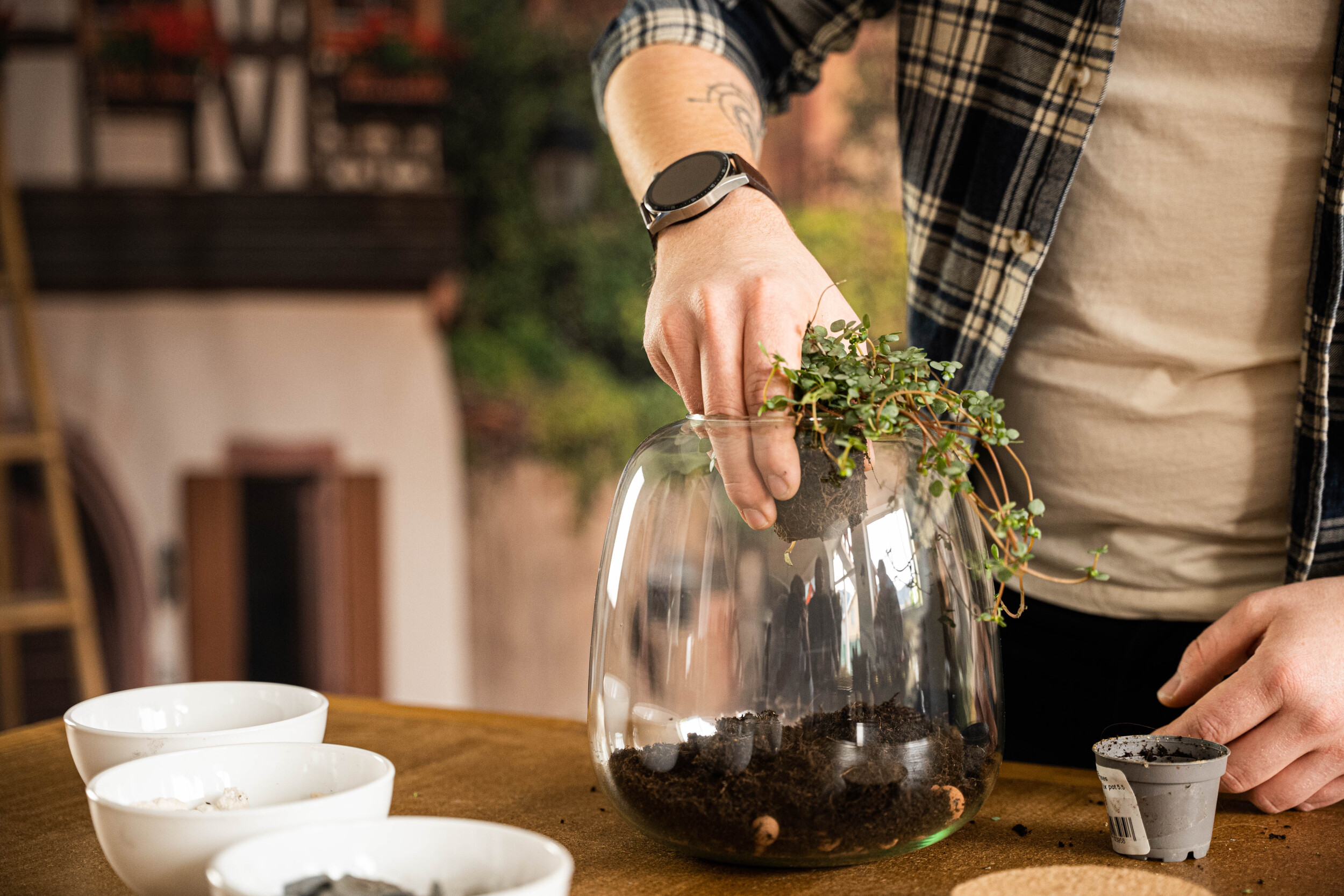 Wecandoo - Réalisez votre terrarium avec Lauriane et Johanna - Image n°3