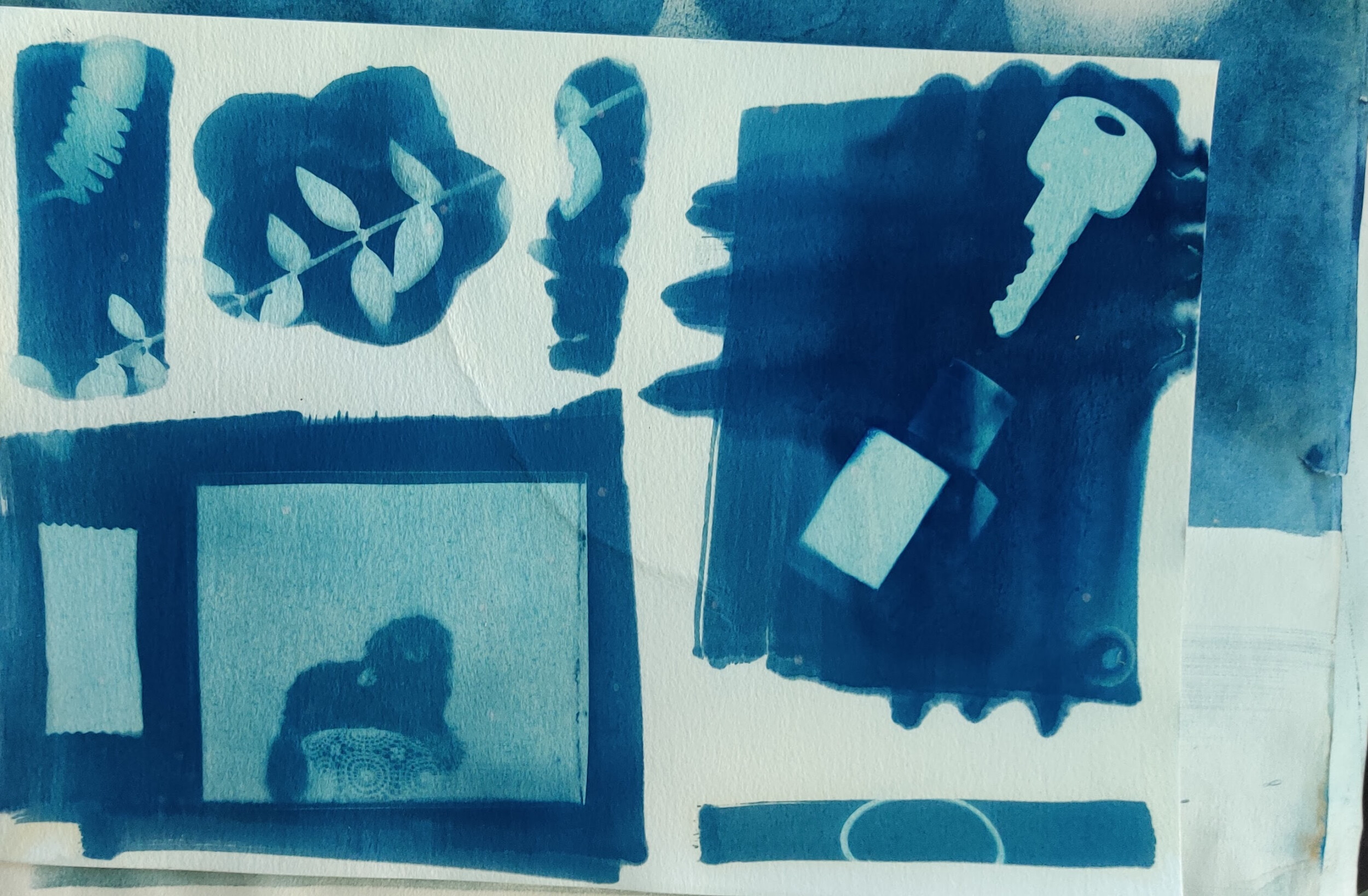 Wecandoo - Discover Cyanotype photo printing with Sander - Image n°8