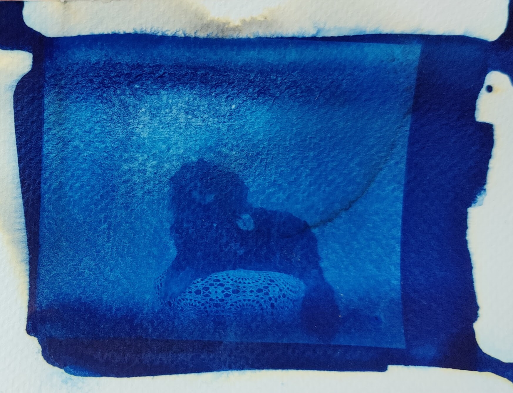 Wecandoo - Discover Cyanotype photo printing with Sander - Image n°9