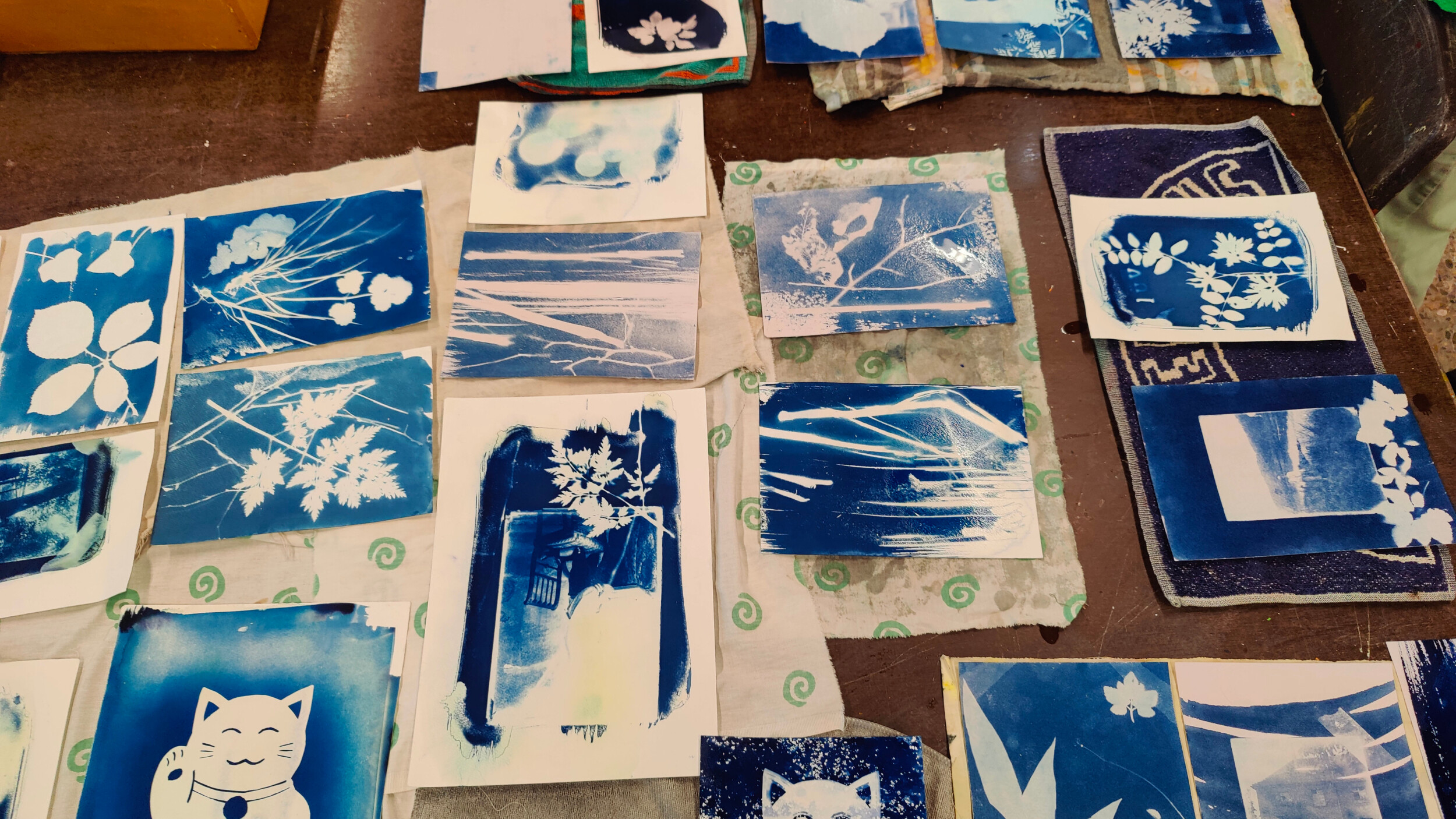 Wecandoo - Discover Cyanotype photo printing with Sander - Image n°4