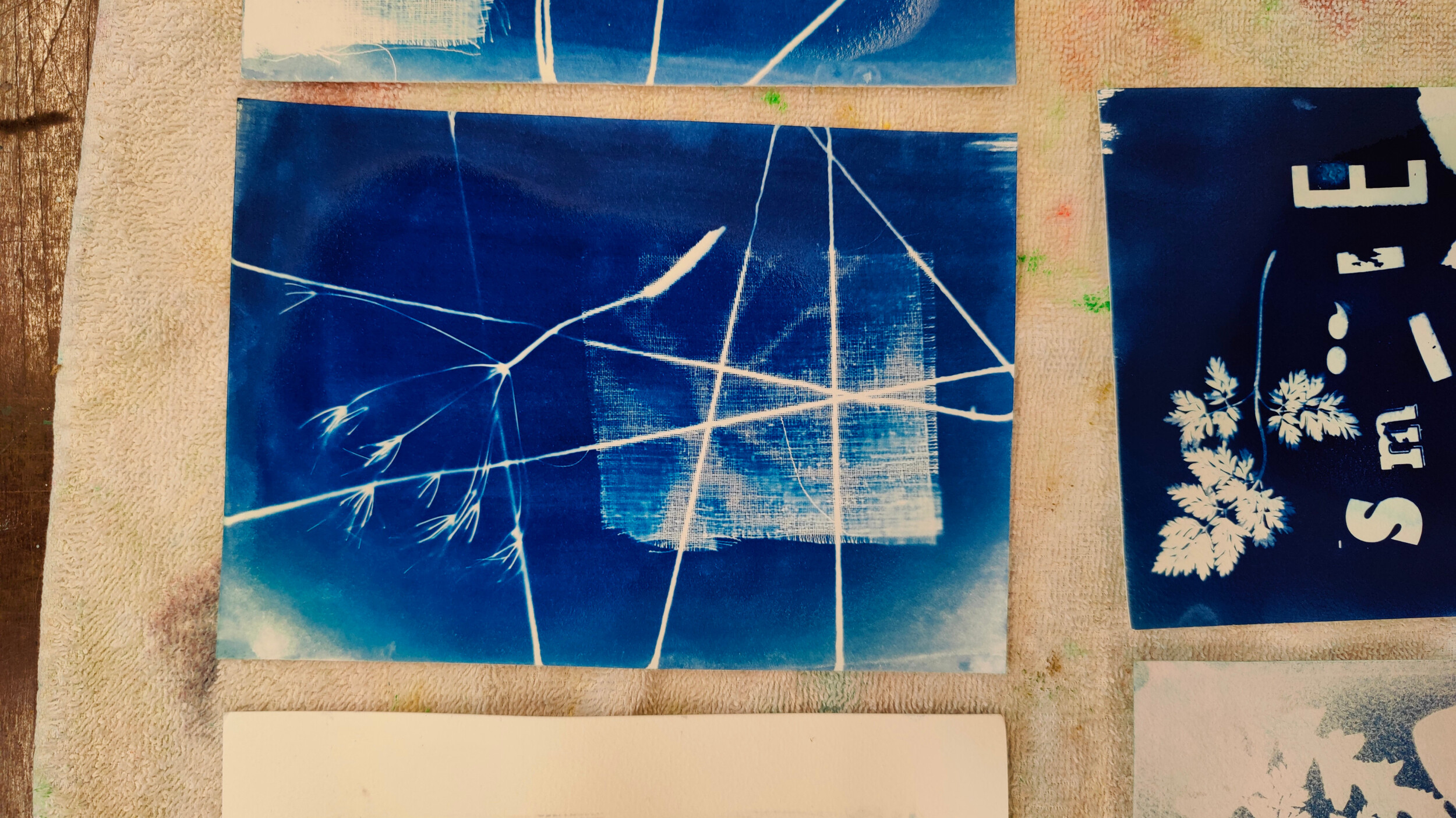 Wecandoo - Discover Cyanotype photo printing with Sander - Image n°5