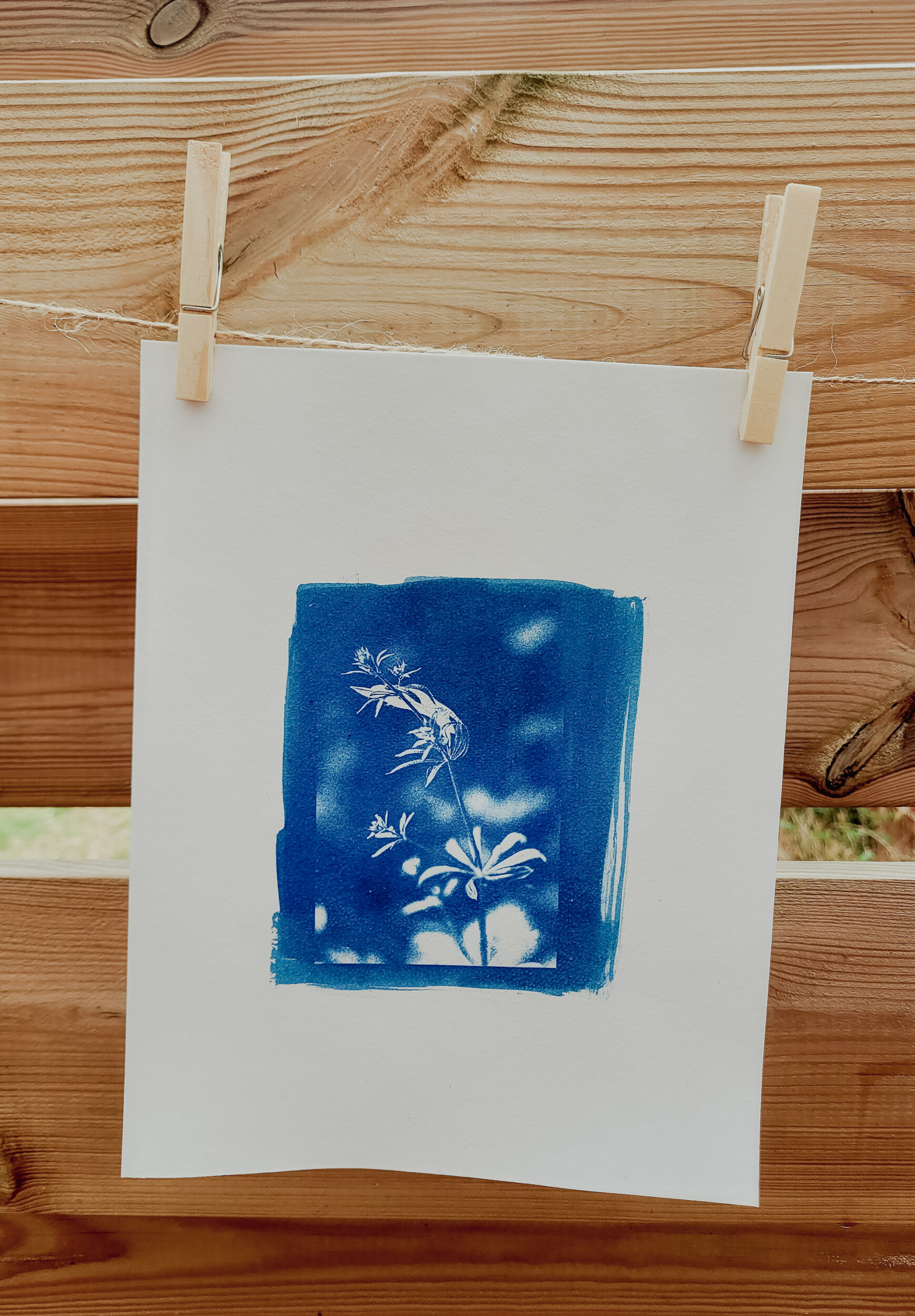 Wecandoo - Initiez-vous au cyanotype avec Céline - Image n°6