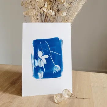 Initiez-vous au cyanotype