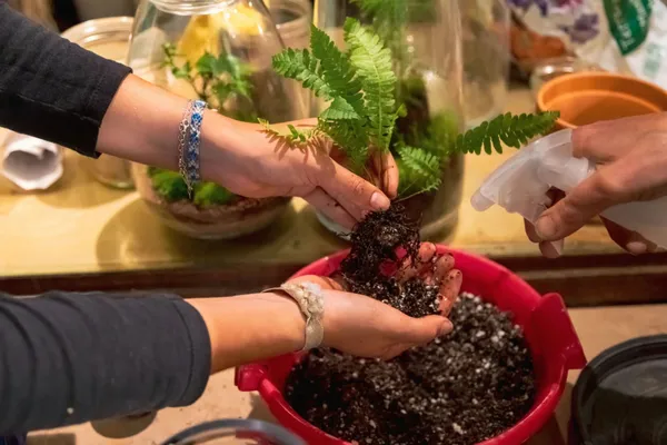 Émerveillez votre équipe et réalisez chacun un terrarium avec Frédéric - Image n°1 - Wecandoo