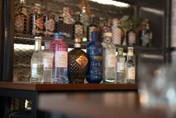 Initiez-vous à la dégustation de gin