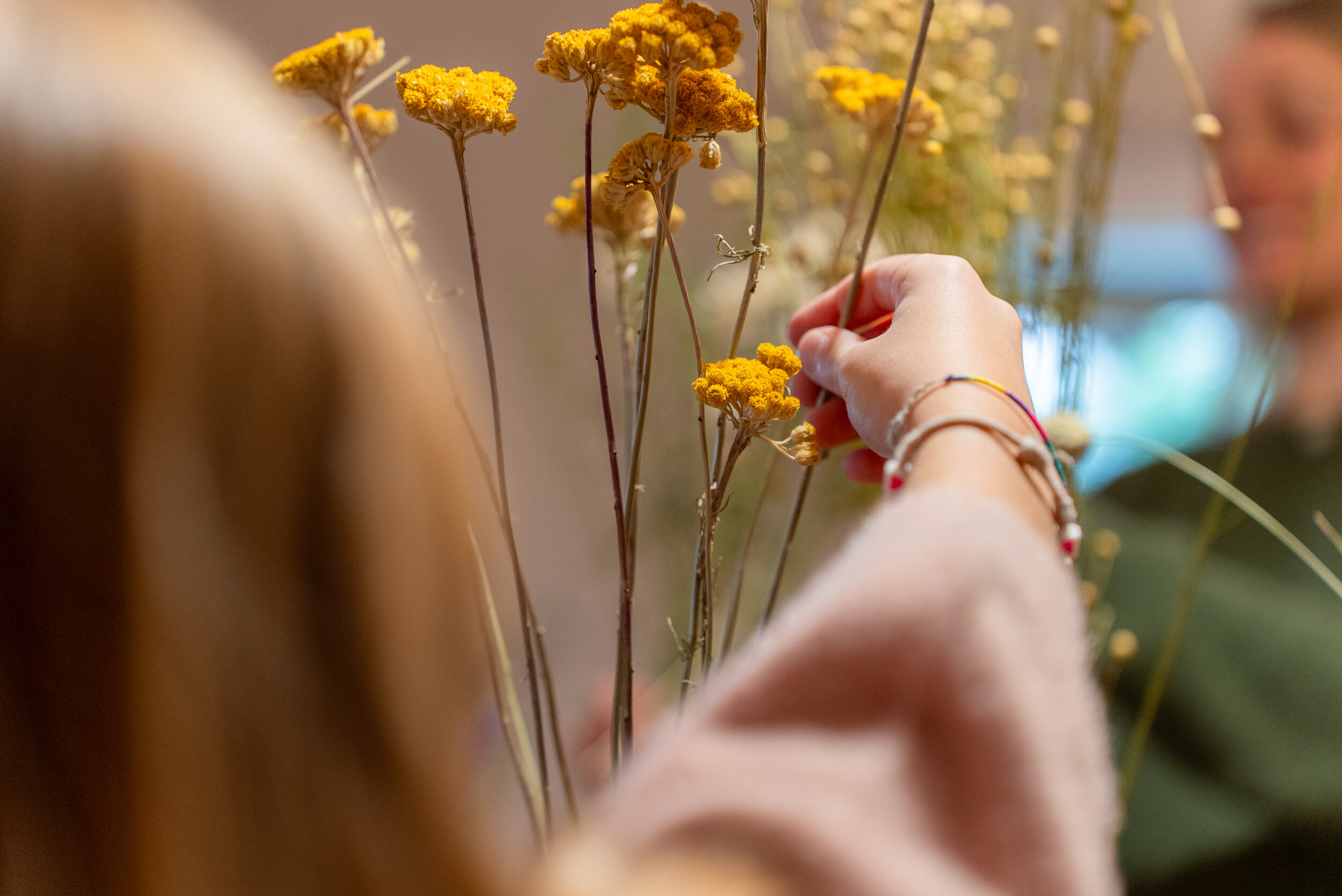 Wecandoo - Réalisez votre bouquet de fleurs séchées avec Stéphanie - Image n°6