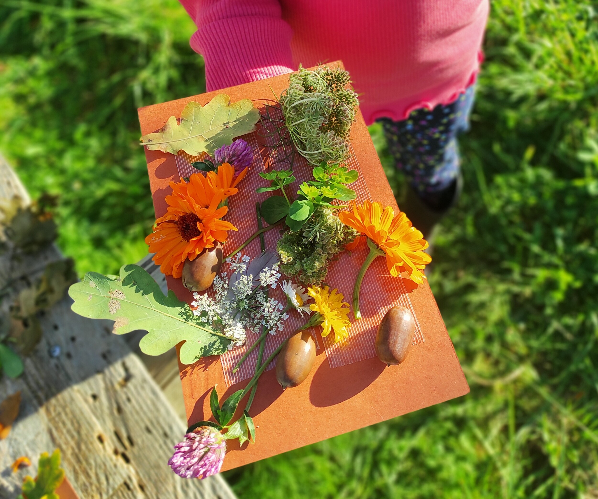 Wecandoo - Découvrez une ferme de permaculture en famille avec Blandine - Afbeelding nr. 9