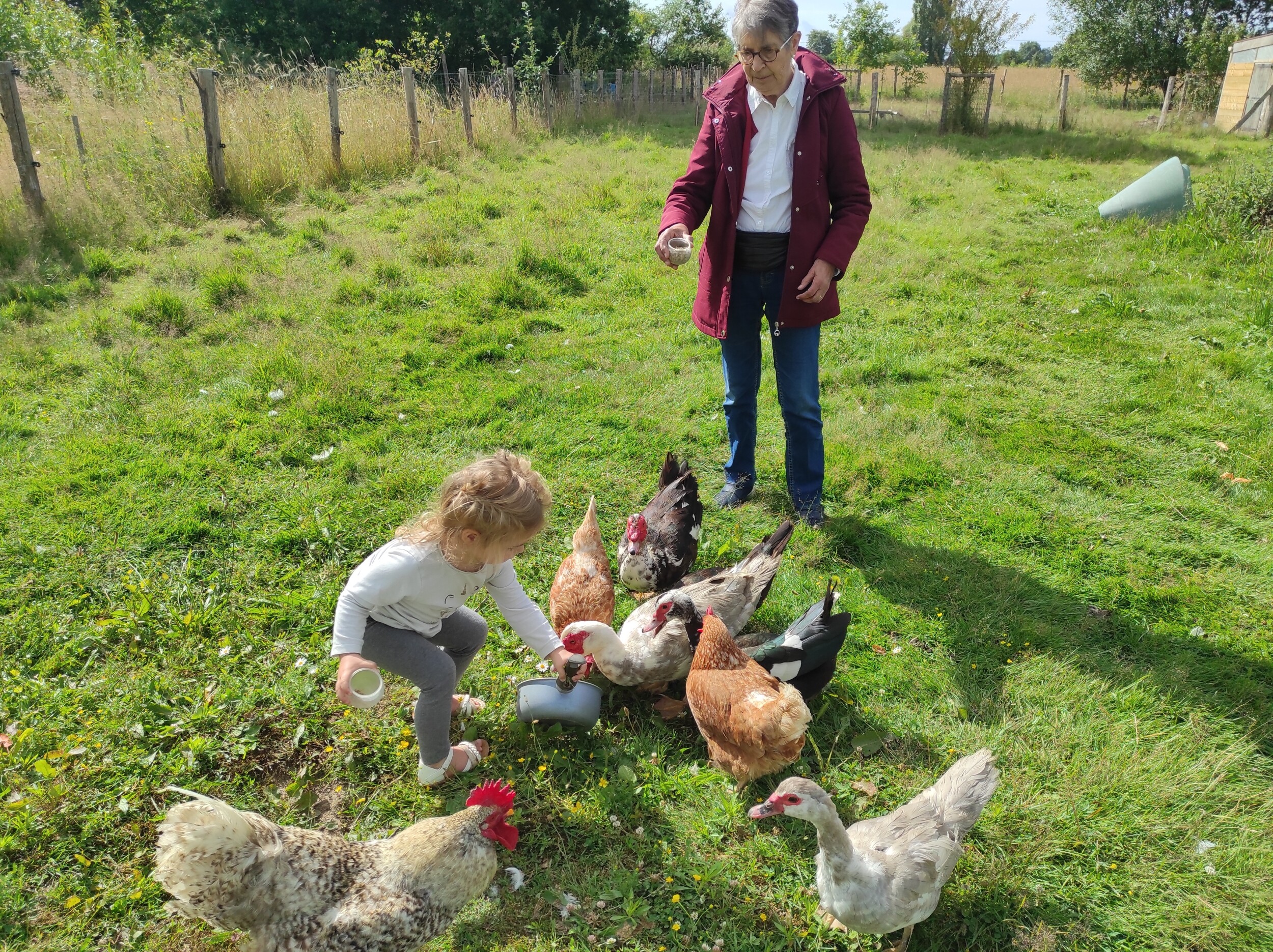 Wecandoo - Découvrez une ferme de permaculture en famille avec Blandine - Afbeelding nr. 2