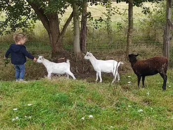 Découvrez une ferme de permaculture en famille