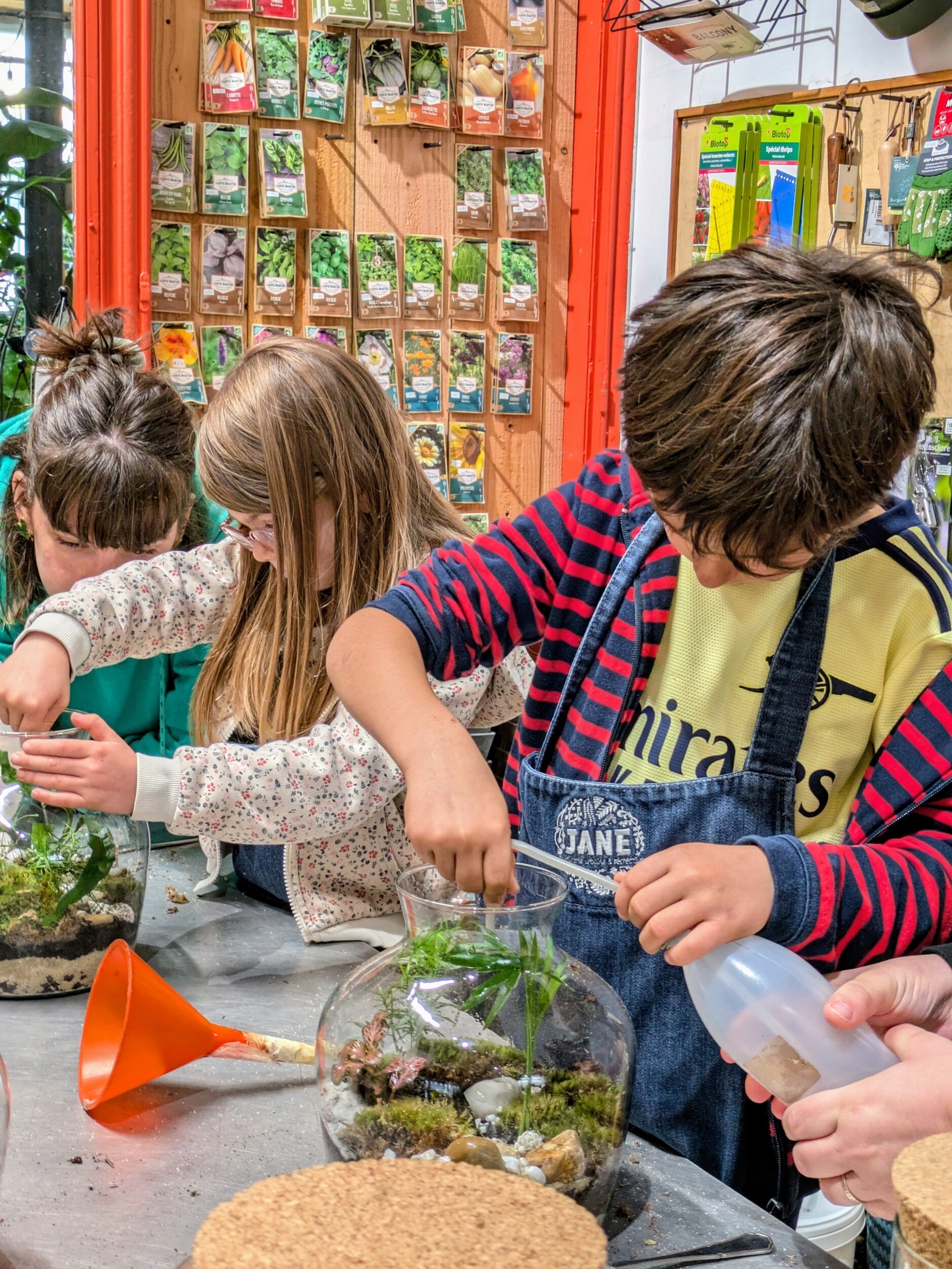 Wecandoo - Composez votre terrarium avec votre enfant (S) - Image n°9