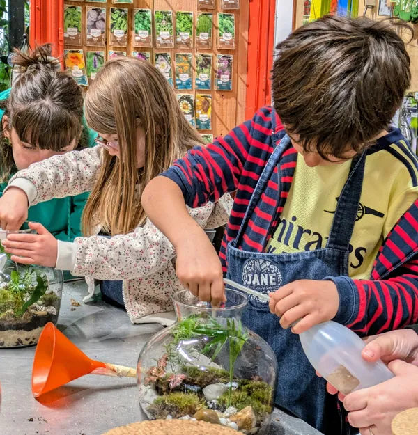 Wecandoo - Composez votre terrarium avec votre enfant (S)