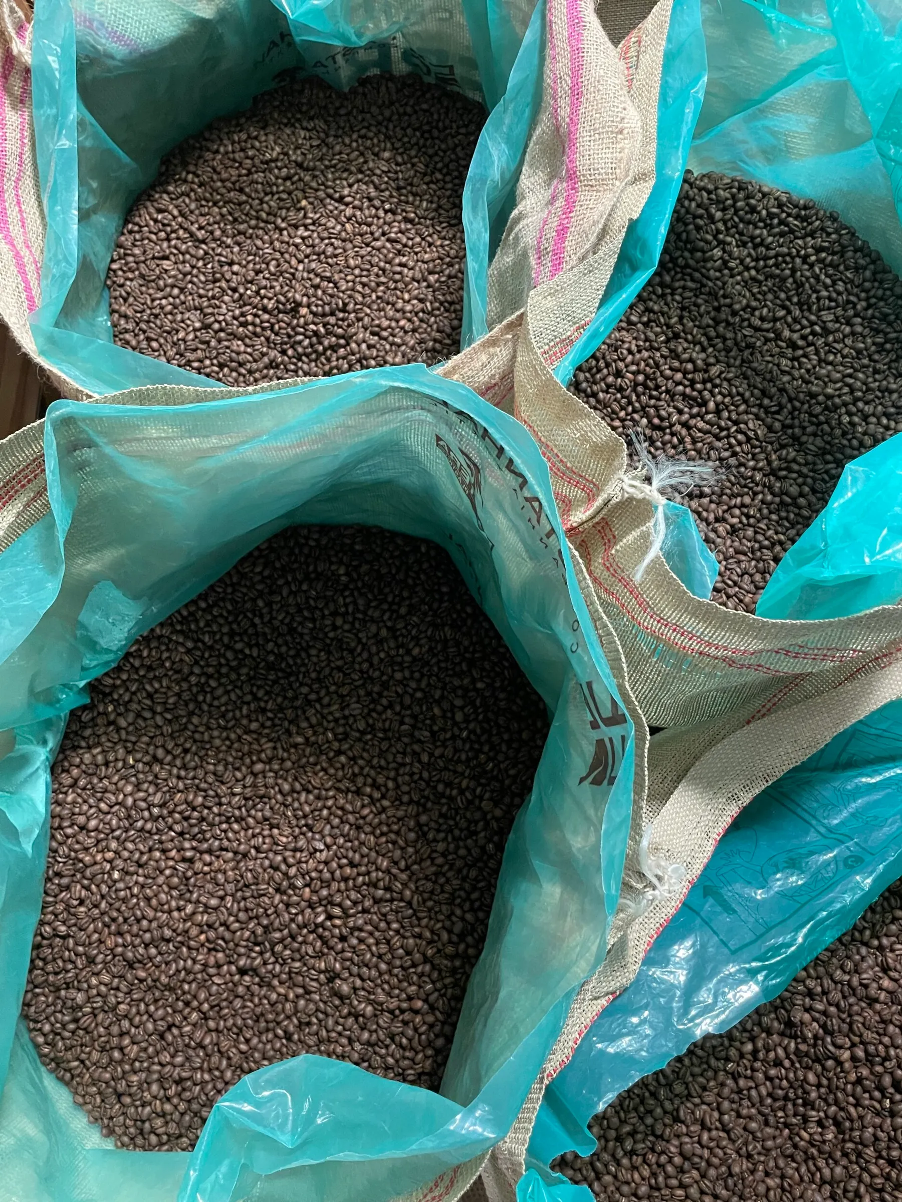 Découvrez les secrets de la torréfaction artisanale avec Xavier - Image n°4 - Wecandoo