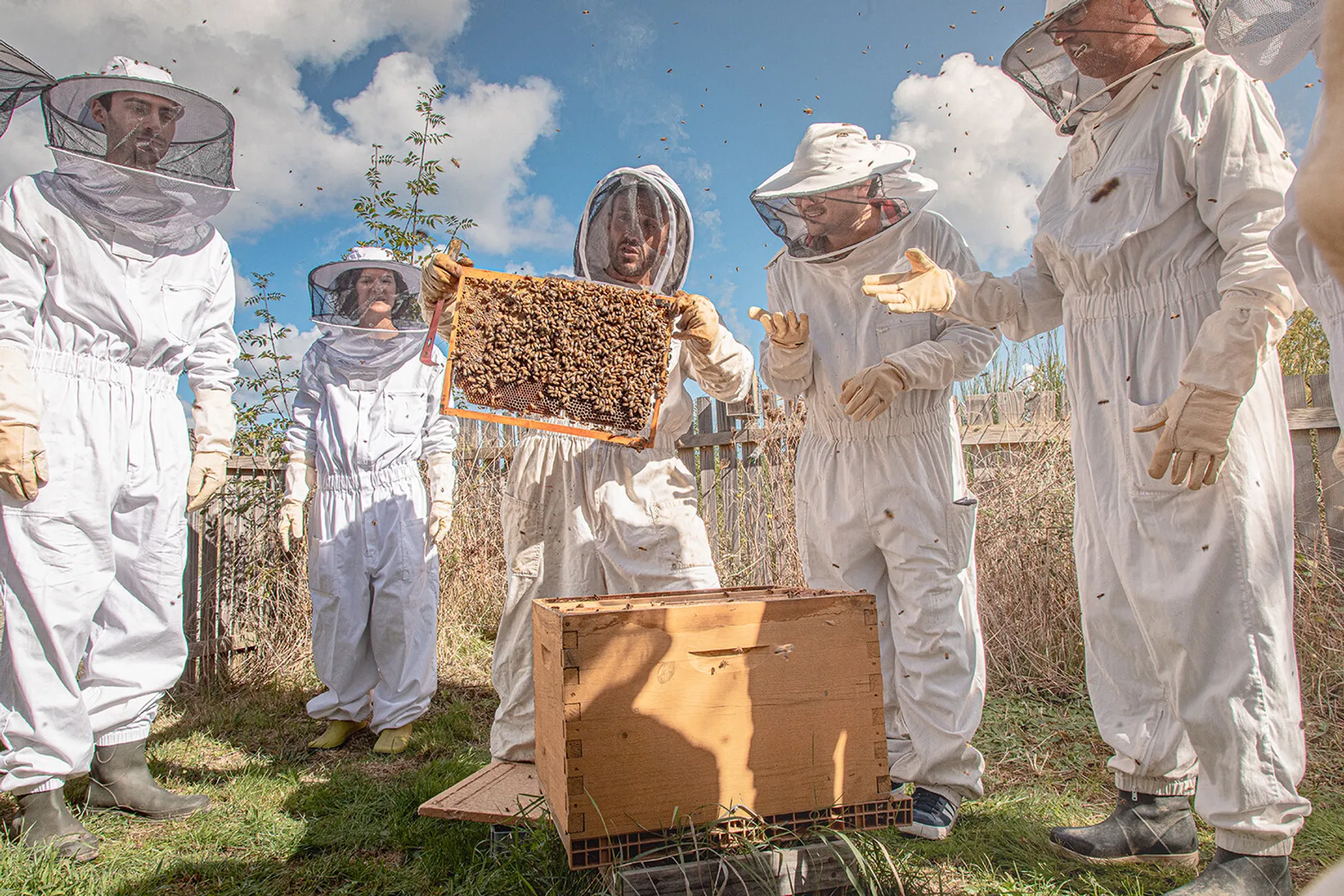 Découvrez l'apiculture sur une demi-journée - Image n°4 - Wecandoo