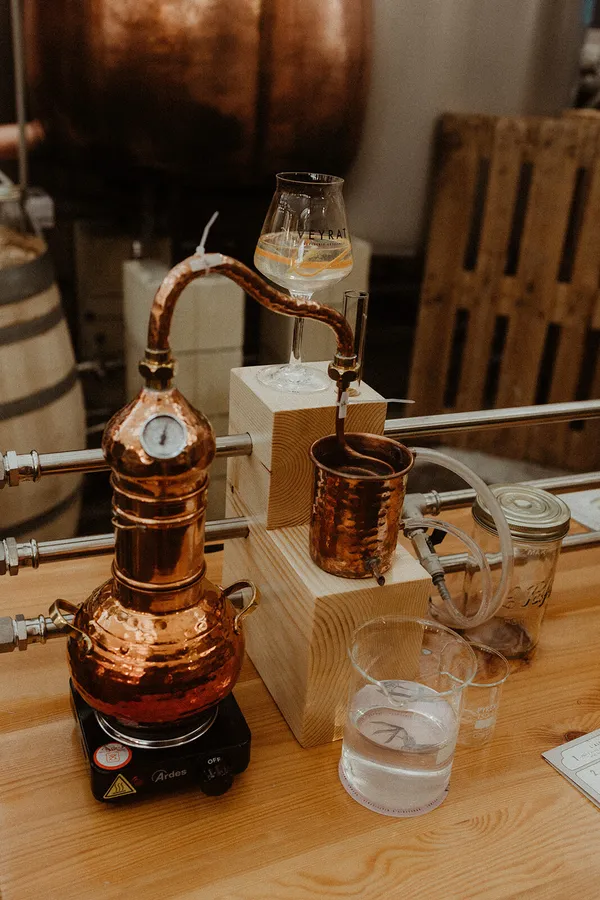 Distillez votre recette de gin en duo avec Aline et Manu - Image n°2 - Wecandoo