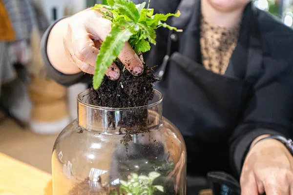 Composez votre terrarium avec Annabelle - Image n°1 - Wecandoo