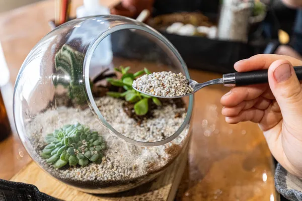 Composez votre terrarium avec Annabelle - Image n°2 - Wecandoo