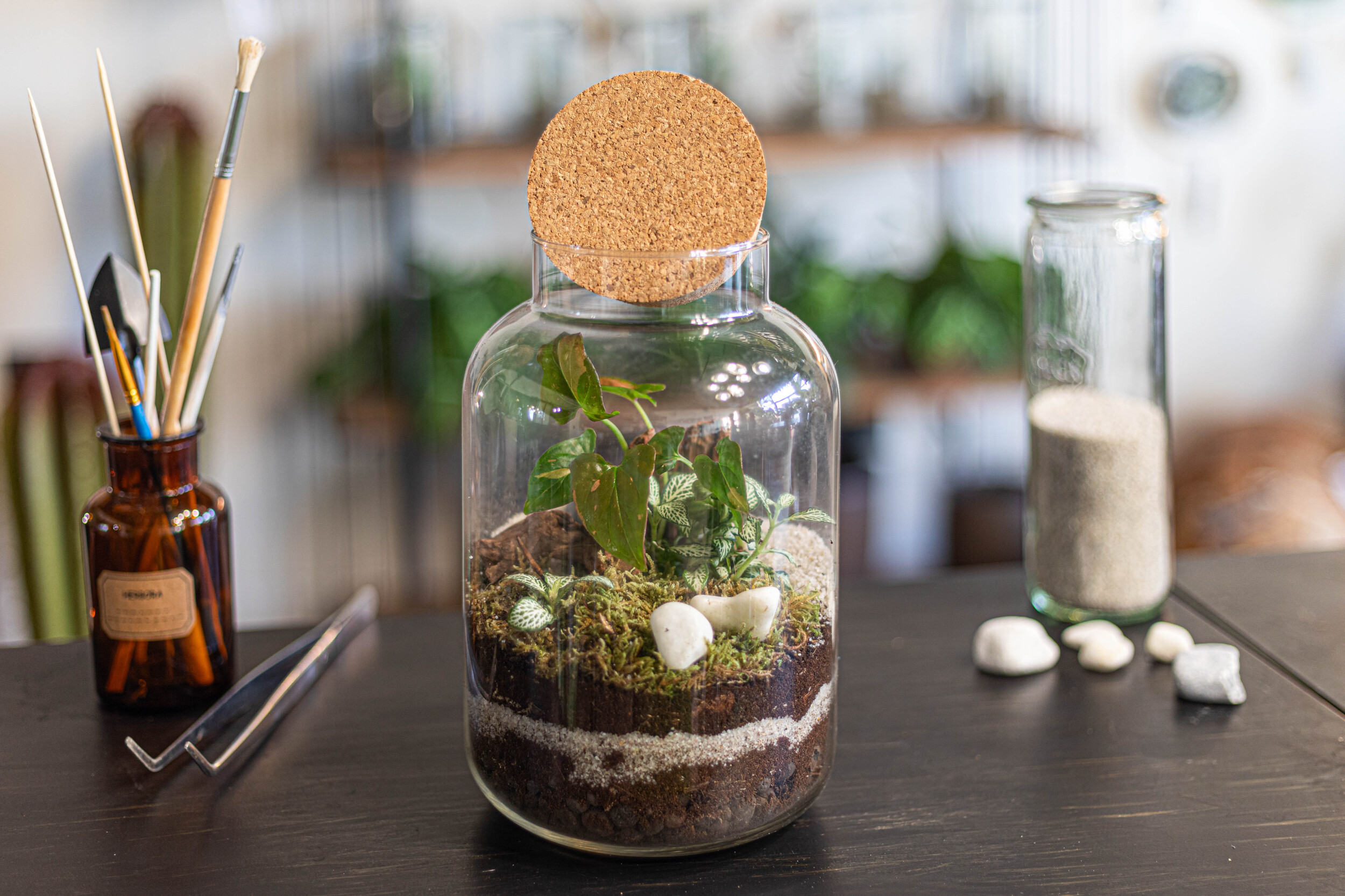 Composez votre terrarium