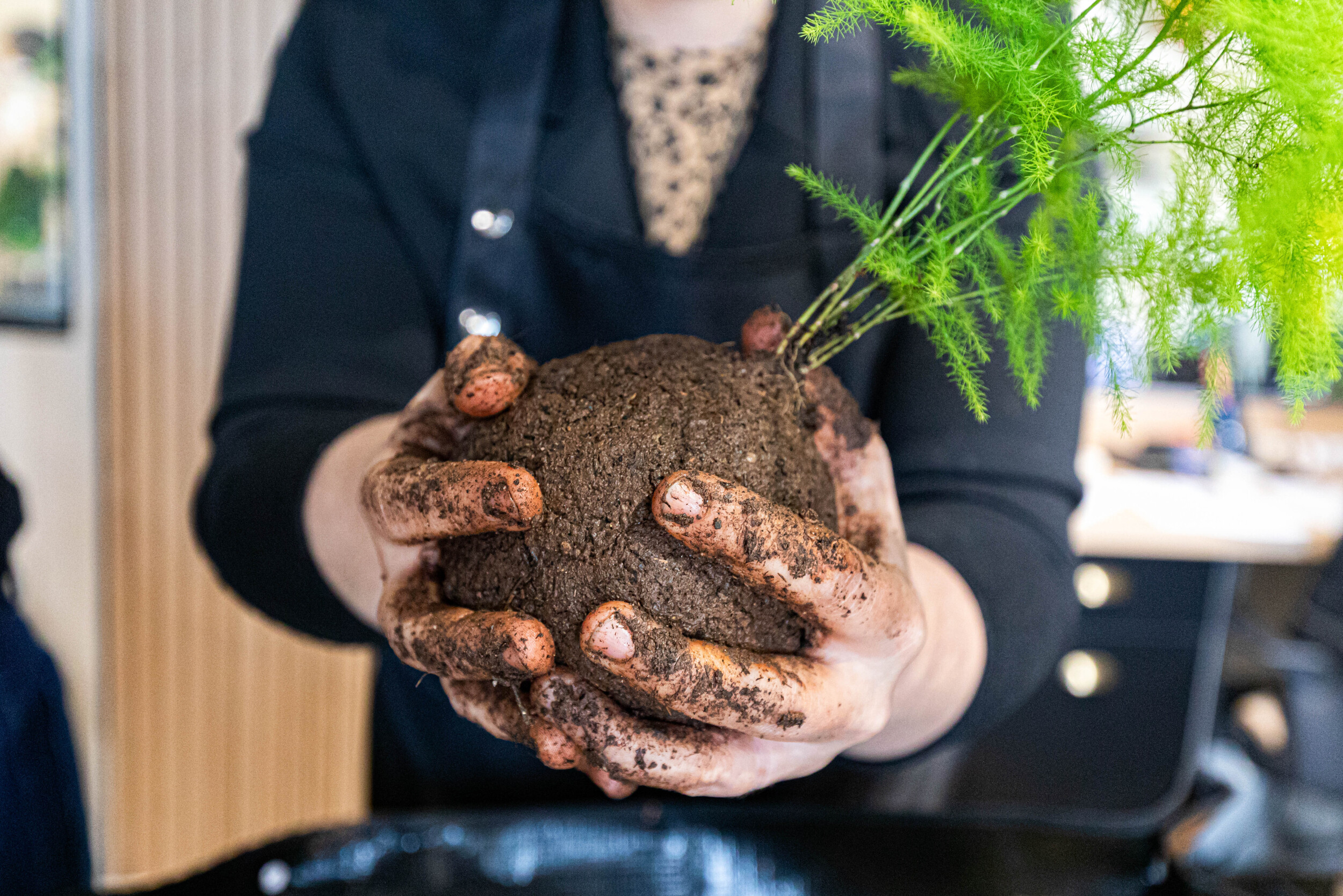 Wecandoo - Fabriquez votre kokedama avec Annabelle - Image n°3