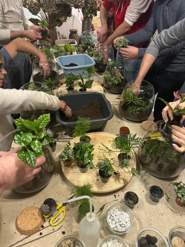 Créez votre terrarium - Afbeelding nr. 2 - Wecandoo
