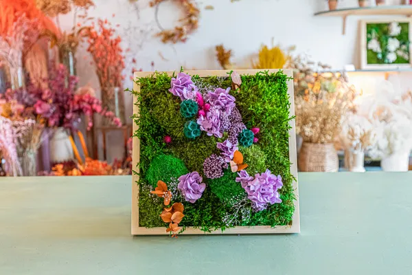 Fabriquez votre cadre végétal avec Claire - Afbeelding nr. 4 - Wecandoo