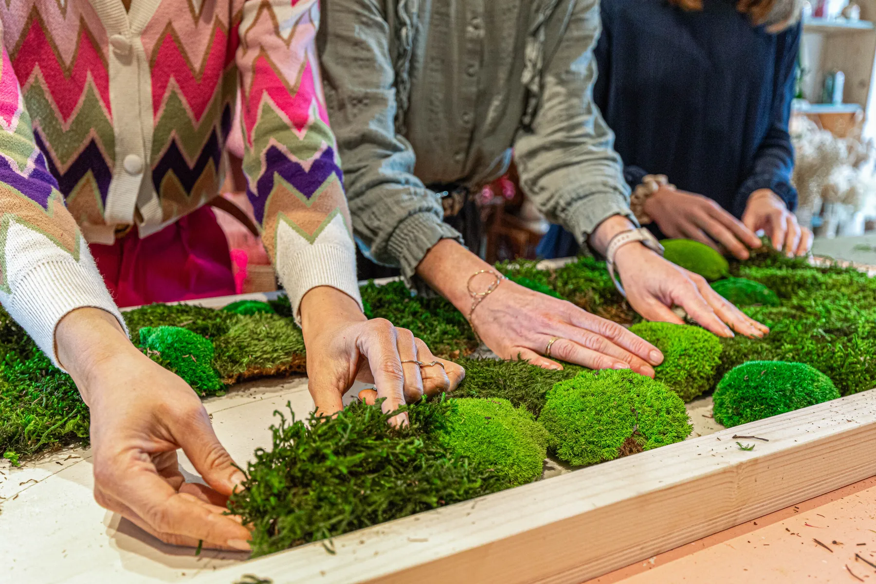 Fabriquez votre fresque végétale en groupe avec Claire - Image n°1 - Wecandoo