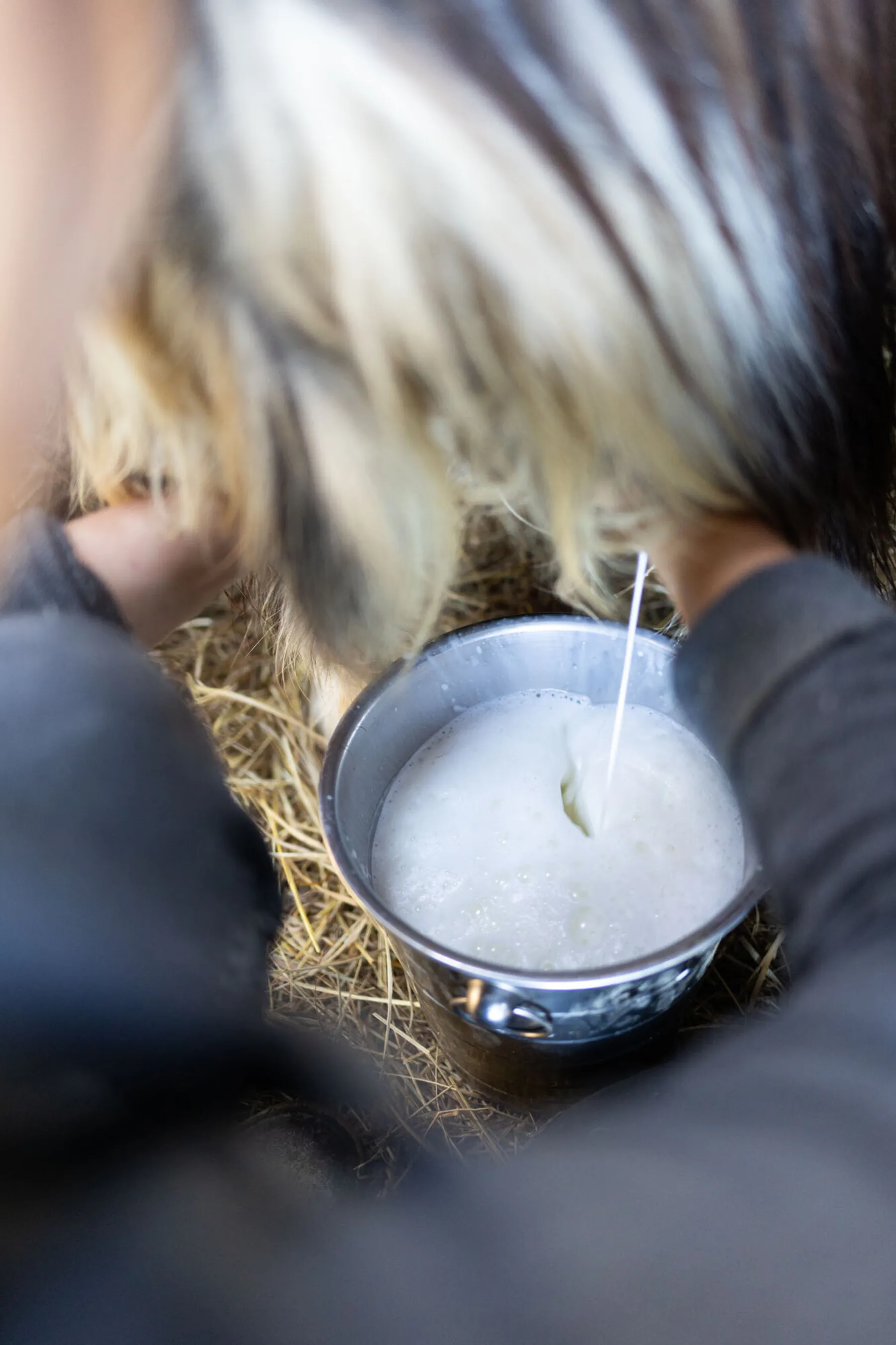 Fabriquez votre fromage de chèvre - Image n°3 - Wecandoo