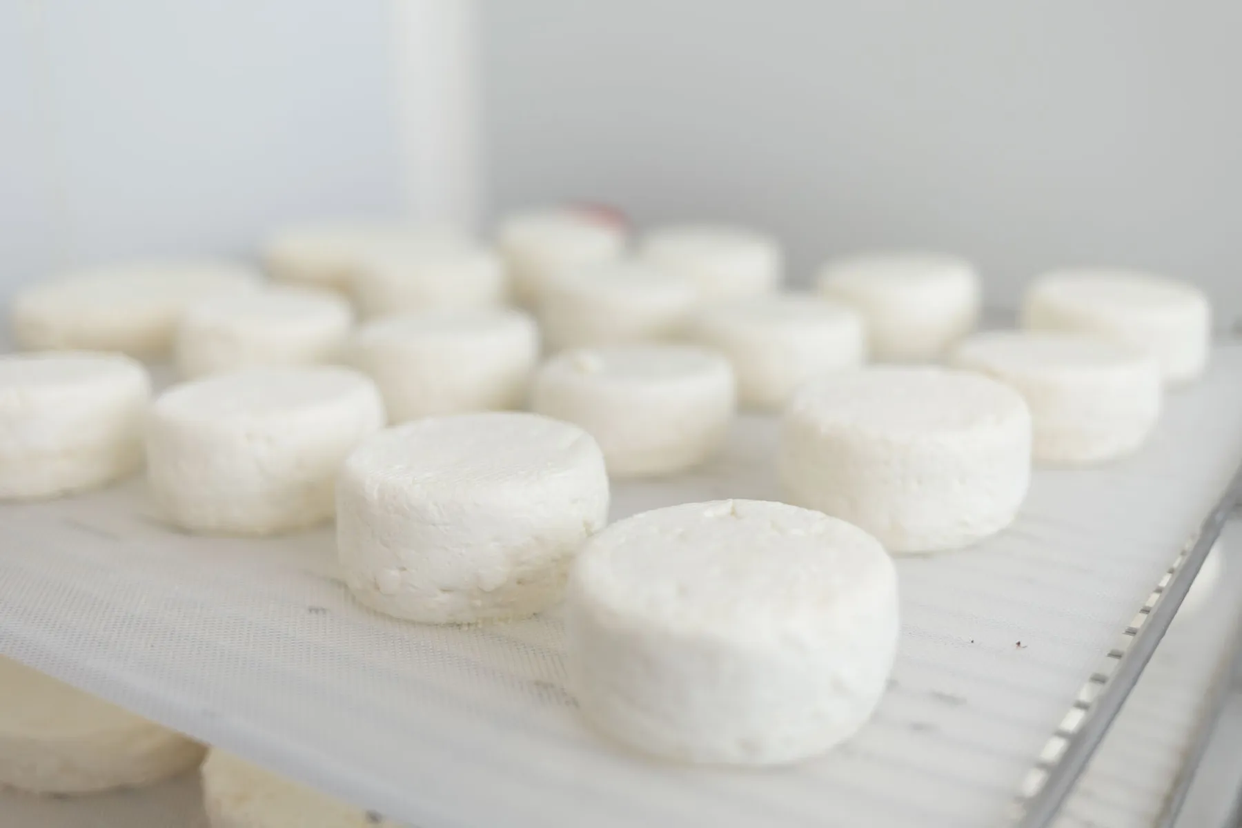 Fabriquez votre fromage de chèvre - Image n°1 - Wecandoo