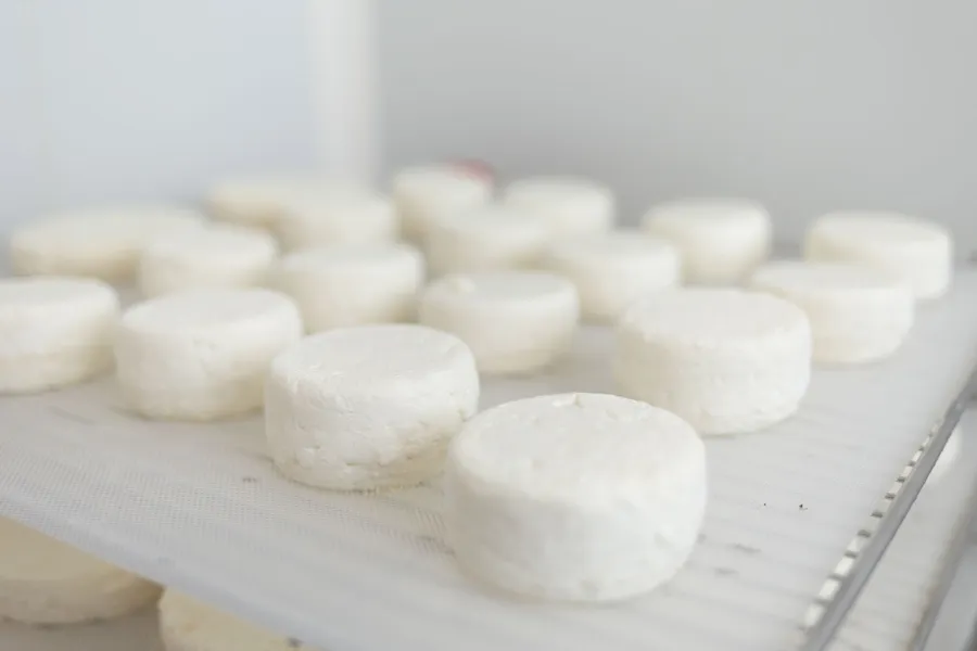 Fabriquez votre fromage de chèvre - Image n°1 - Wecandoo