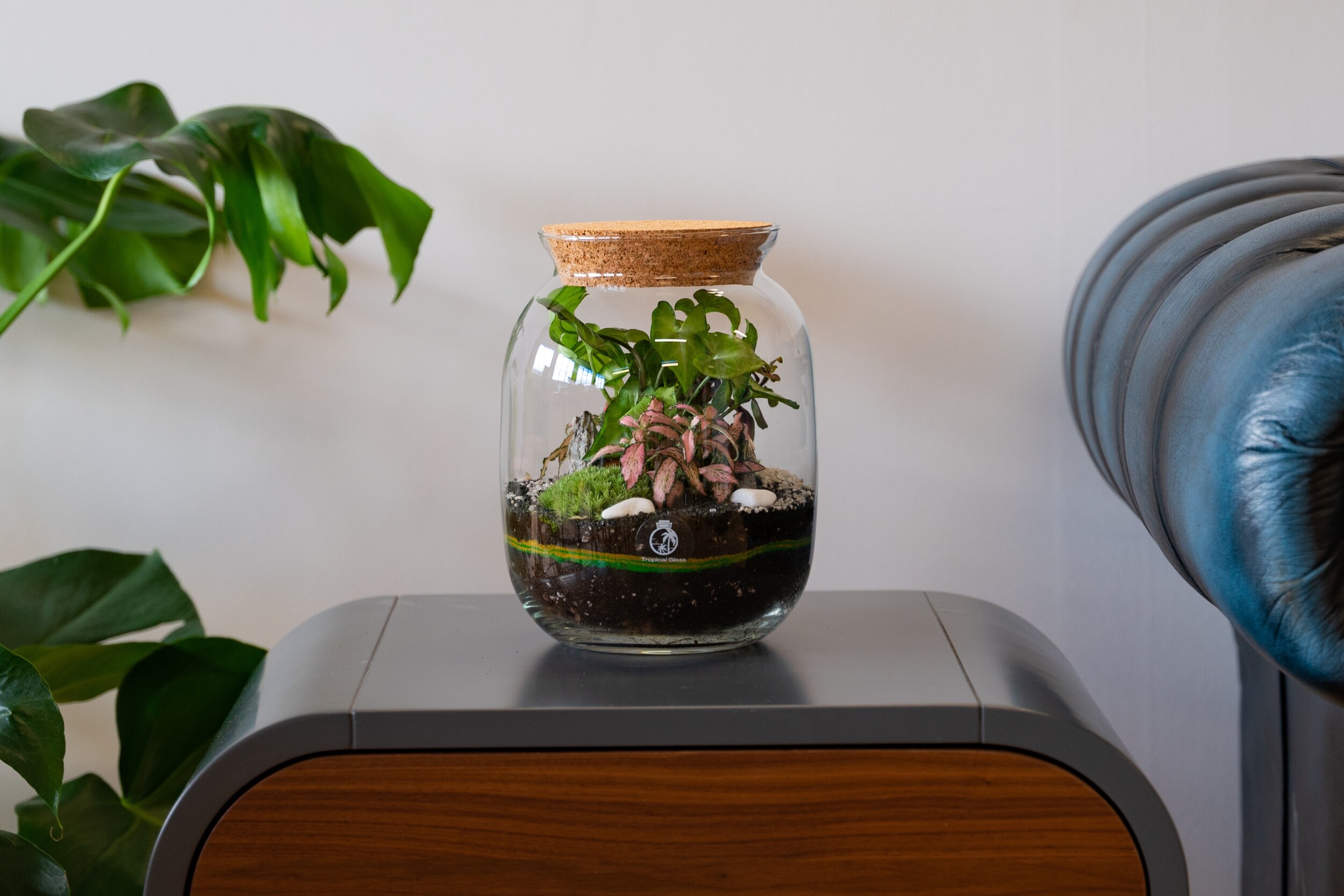 Wecandoo - Create your own terrarium - Image n°9