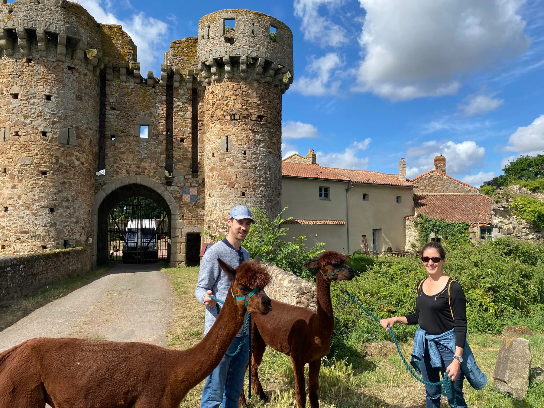 Découvrez un élevage d'alpagas avec William et Sophie - Image n°4 - Wecandoo